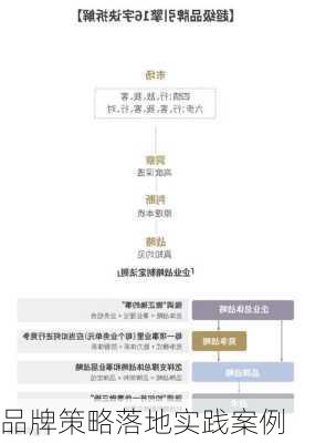 品牌策略落地实践案例