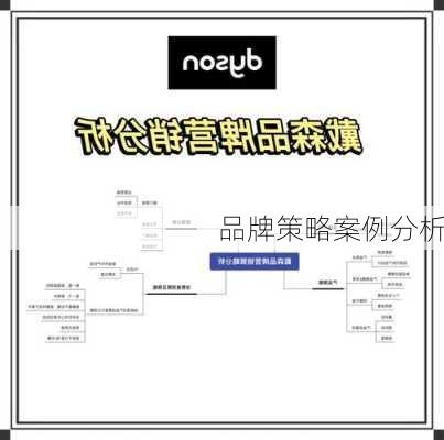 品牌策略案例分析