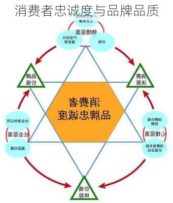 消费者忠诚度与品牌品质