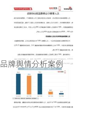 品牌舆情分析案例