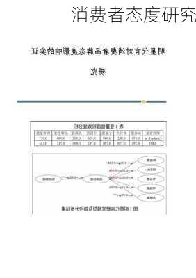 消费者态度研究