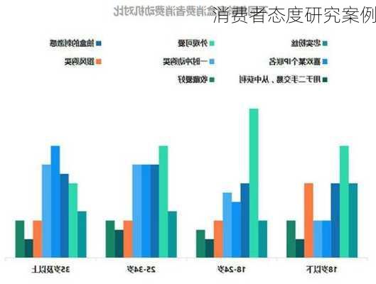 消费者态度研究案例