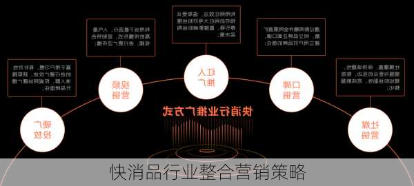 快消品行业整合营销策略