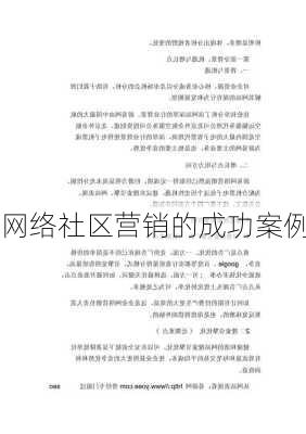 网络社区营销的成功案例