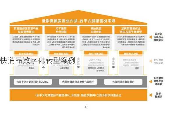 快消品数字化转型案例