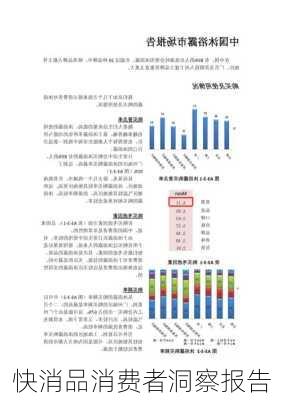 快消品消费者洞察报告