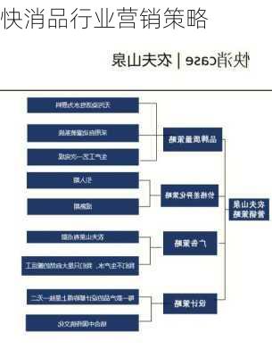 快消品行业营销策略