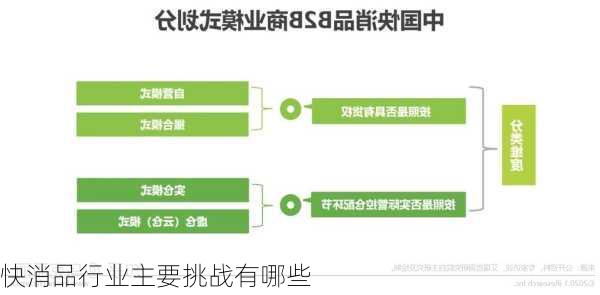 快消品行业主要挑战有哪些