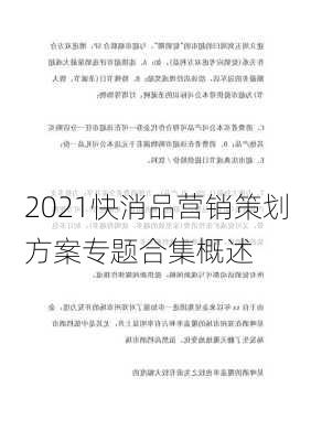 2021快消品营销策划方案专题合集概述