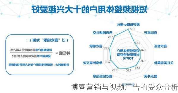 博客营销与视频广告的受众分析