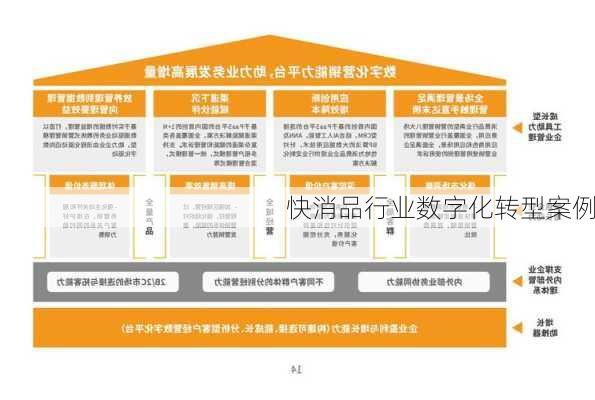 快消品行业数字化转型案例