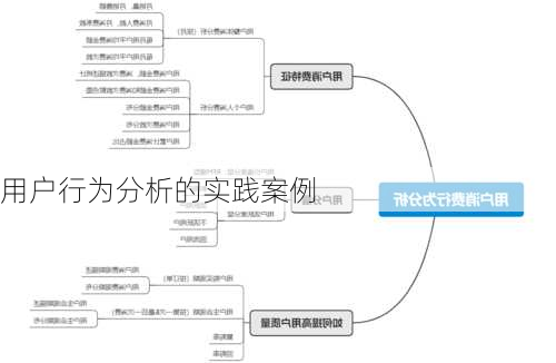 用户行为分析的实践案例