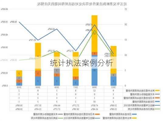 统计执法案例分析