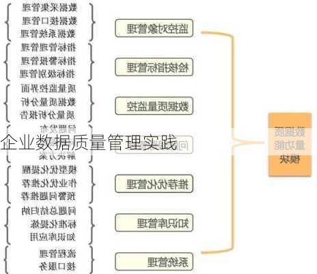 企业数据质量管理实践