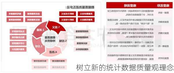 树立新的统计数据质量观理念