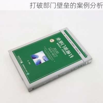 打破部门壁垒的案例分析