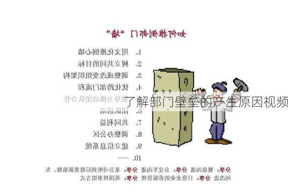 了解部门壁垒的产生原因视频
