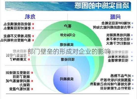 部门壁垒的形成对企业的影响