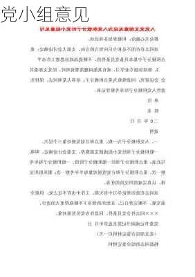 党小组意见