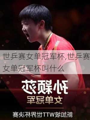 世乒赛女单冠军杯,世乒赛女单冠军杯叫什么