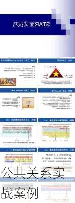 公共关系实战案例