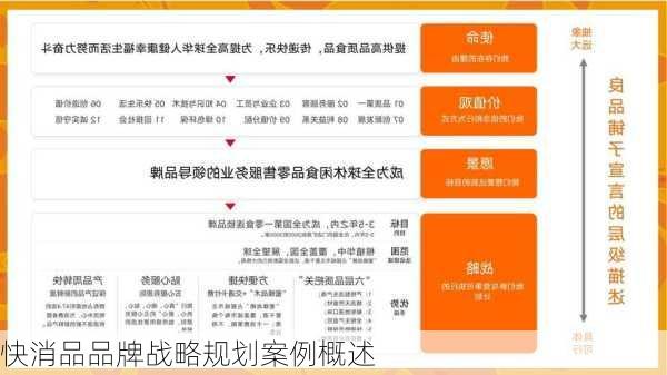 快消品品牌战略规划案例概述