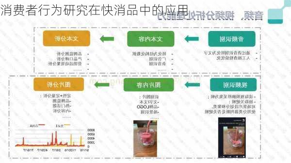 消费者行为研究在快消品中的应用