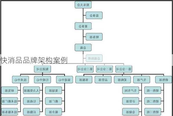 快消品品牌架构案例