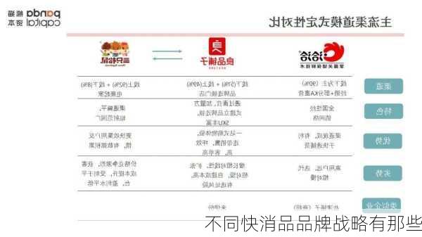 不同快消品品牌战略有那些