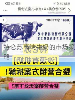 特仑苏高端牛奶的市场策略