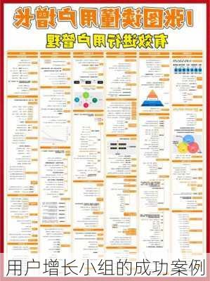 用户增长小组的成功案例