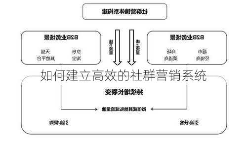 如何建立高效的社群营销系统