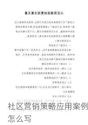 社区营销策略应用案例怎么写