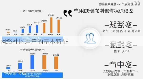 网络社区用户的基本特征