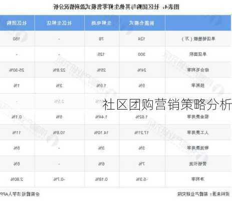社区团购营销策略分析