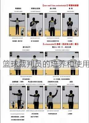 篮球裁判员的培养和使用