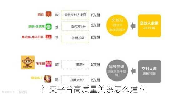 社交平台高质量关系怎么建立