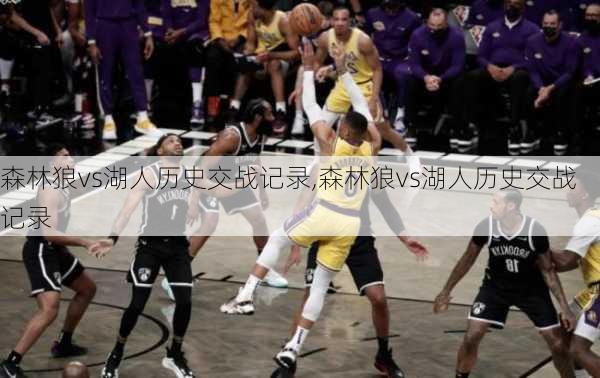 森林狼vs湖人历史交战记录,森林狼vs湖人历史交战记录