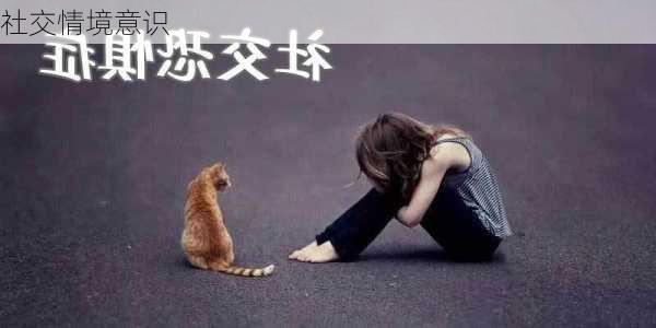 社交情境意识