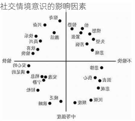 社交情境意识的影响因素
