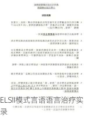 ELSII模式言语语言治疗实录