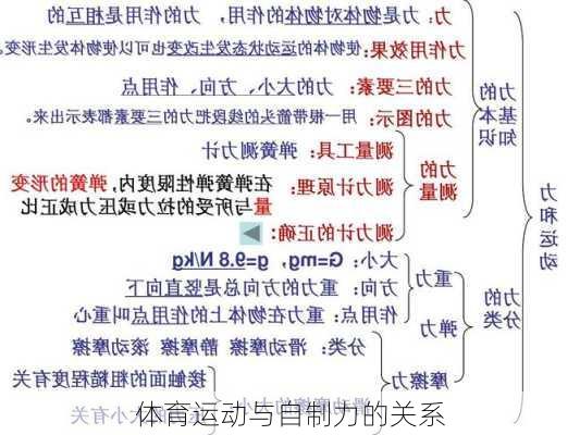 体育运动与自制力的关系