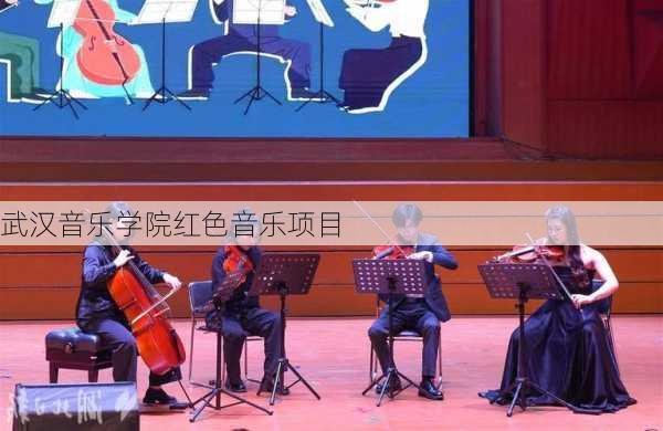 武汉音乐学院红色音乐项目