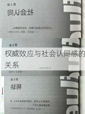 权威效应与社会认同感的关系