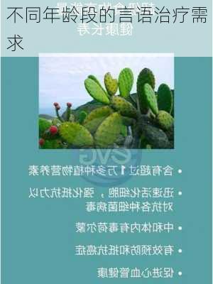 不同年龄段的言语治疗需求
