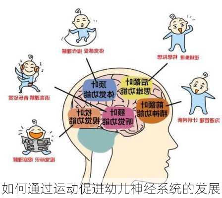 如何通过运动促进幼儿神经系统的发展