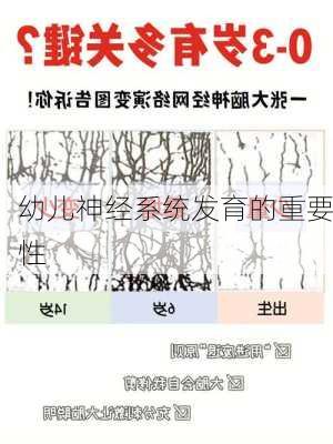 幼儿神经系统发育的重要性