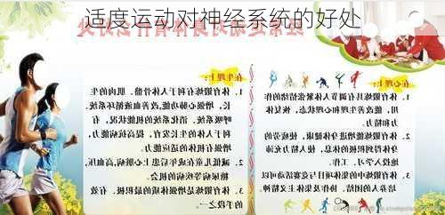 适度运动对神经系统的好处