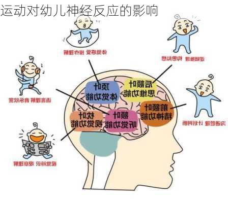 运动对幼儿神经反应的影响