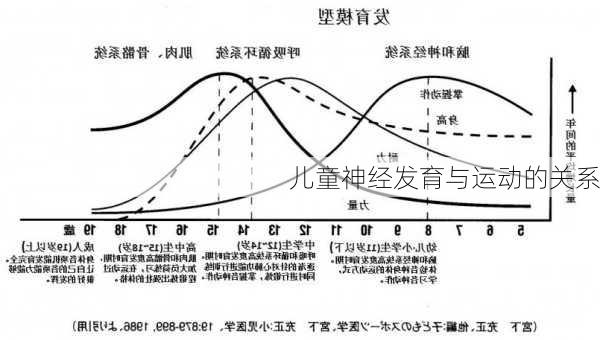 儿童神经发育与运动的关系